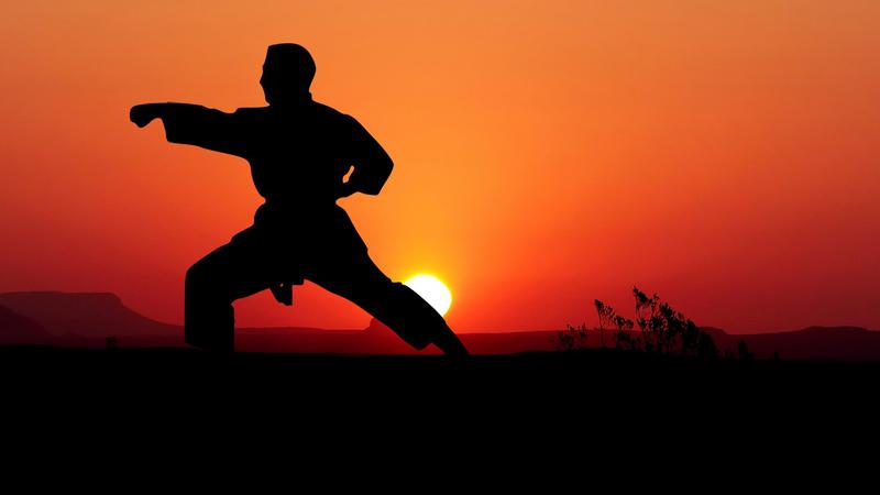 Teknik Dasar Karate yang Harus Dikuasai Dalam Setiap Praktisi