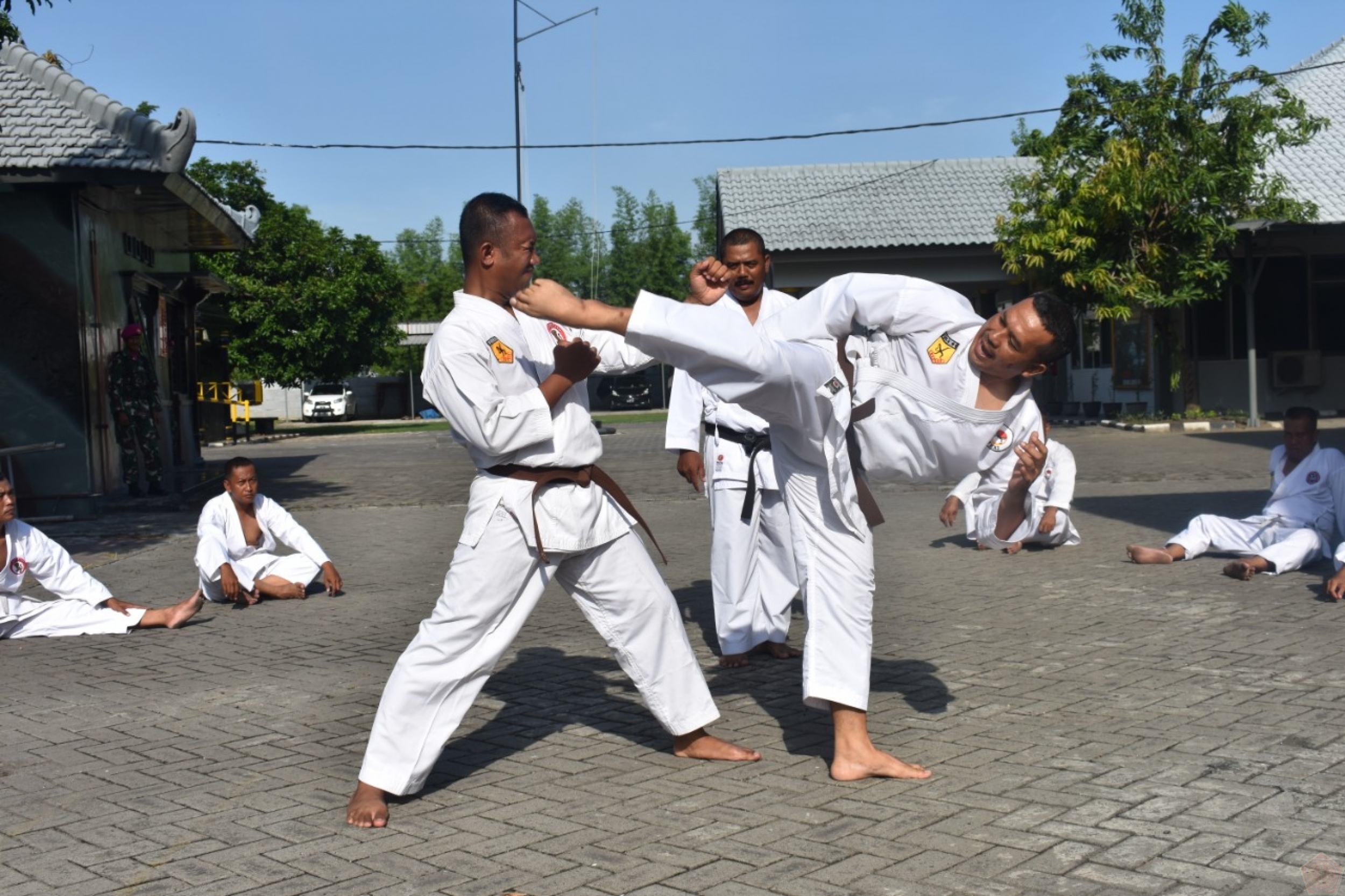 Latihan Karate Tingkat Lanjut: Teknik dan Strategi Terbaik