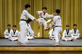 Teknik Dasar Taekwondo dan Panduan Lengkap untuk Pemula