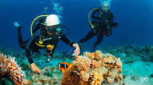 Selam: Olahraga Bawah Air yang Menguji Ketahanan Tubuh